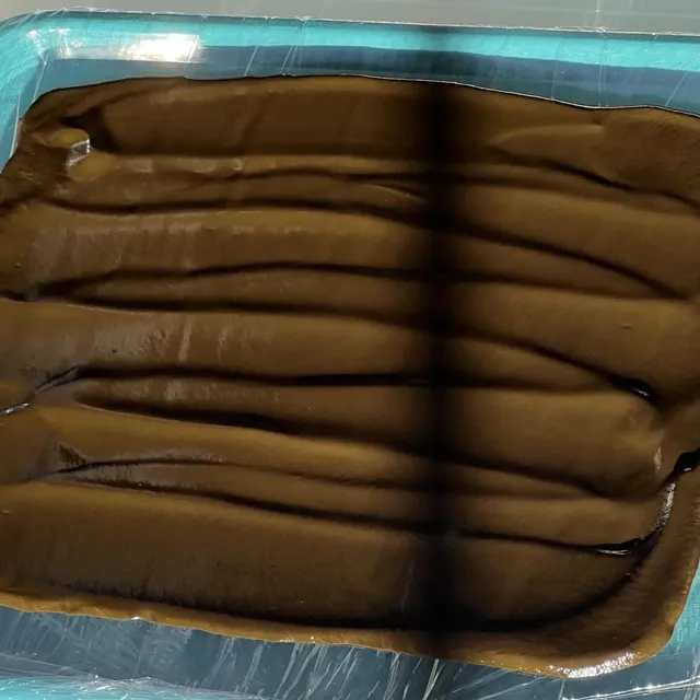 Wet microalgae biomass spread in a thin layer on a tray